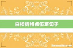 白桦树特点仿写句子