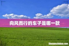 向风而行的车子是哪一款