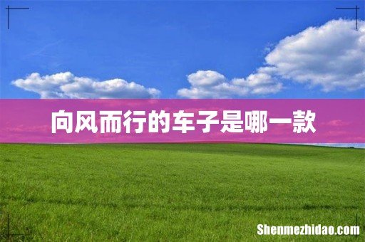 向风而行的车子是哪一款