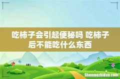 吃柿子会引起便秘吗 吃柿子后不能吃什么东西