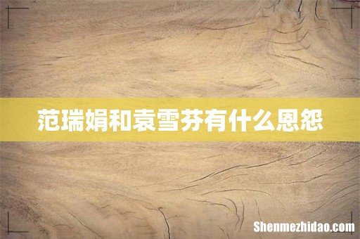 范瑞娟和袁雪芬有什么恩怨