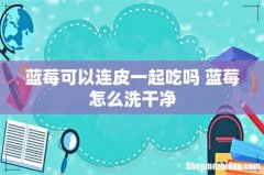 蓝莓可以连皮一起吃吗 蓝莓怎么洗干净