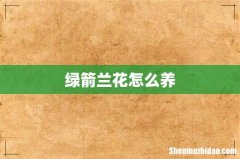 绿箭兰花怎么养