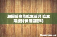 胆固醇高能吃生菜吗 吃生菜能降低胆固醇吗