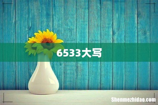 6533大写