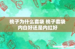 桃子为什么套袋 桃子套袋内白好还是内红好