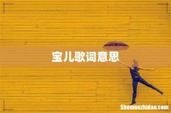 宝儿歌词意思