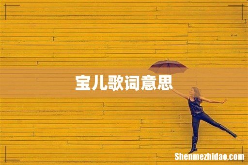 宝儿歌词意思