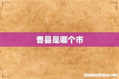 曹县是哪个市