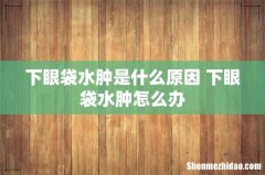 下眼袋水肿是什么原因 下眼袋水肿怎么办