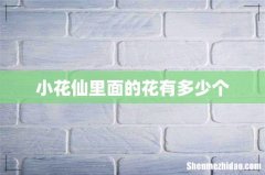 小花仙里面的花有多少个