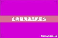 山海经凤族是凤凰么