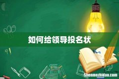 如何给领导投名状