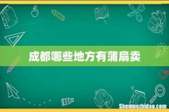 成都哪些地方有蒲扇卖