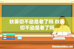 秋葵切不动是老了吗 秋葵切不动是老了吗