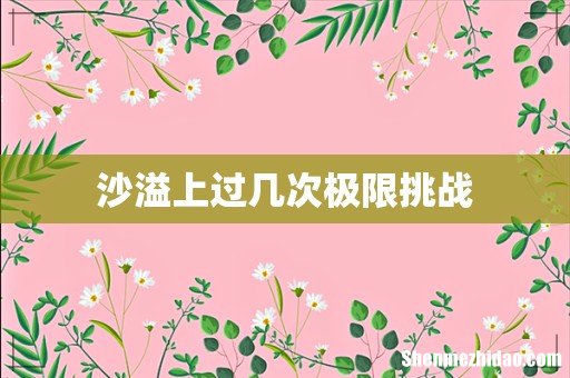 沙溢上过几次极限挑战