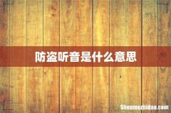 防盗听音是什么意思