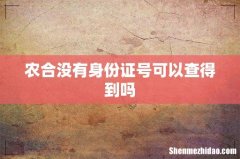 农合没有身份证号可以查得到吗