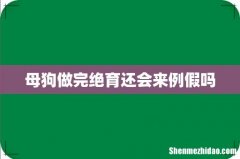 母狗做完绝育还会来例假吗