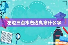 左边三点水右边丸念什么字