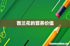 西兰花的营养价值