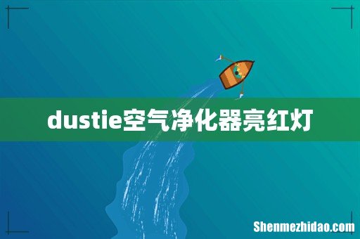 dustie空气净化器亮红灯