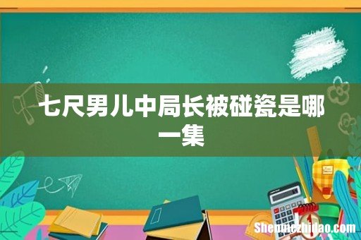 七尺男儿中局长被碰瓷是哪一集