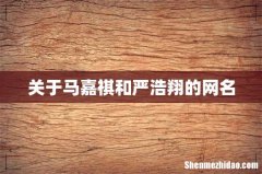 关于马嘉祺和严浩翔的网名