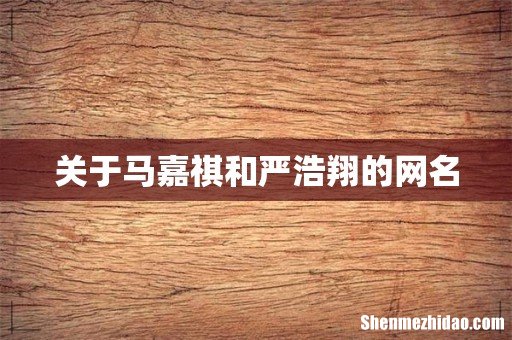 关于马嘉祺和严浩翔的网名