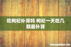 吃枸杞补肾吗 枸杞一天吃几颗最补肾