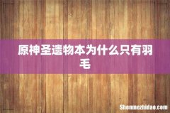 原神圣遗物本为什么只有羽毛