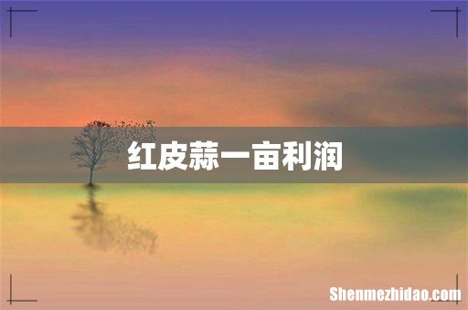 红皮蒜一亩利润