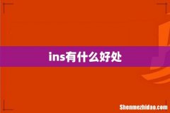 ins有什么好处