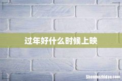 过年好什么时候上映