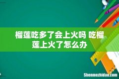 榴莲吃多了会上火吗 吃榴莲上火了怎么办
