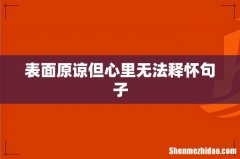表面原谅但心里无法释怀句子