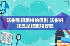 沃柑和粑粑柑的区别 沃柑好吃还是耙耙柑好吃