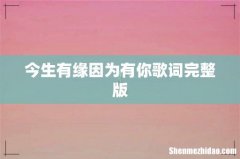 今生有缘因为有你歌词完整版