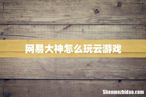 网易大神怎么玩云游戏