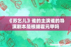 《苏乞儿》谁的主演谁的导演剧本是根据霍元甲吗