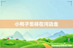 小鸭子怎样在河边走