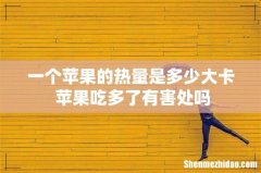 一个苹果的热量是多少大卡 苹果吃多了有害处吗