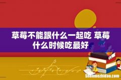 草莓不能跟什么一起吃 草莓什么时候吃最好