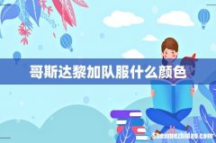 哥斯达黎加队服什么颜色
