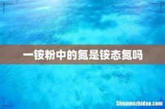 一铵粉中的氮是铵态氮吗