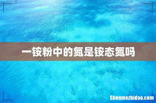 一铵粉中的氮是铵态氮吗