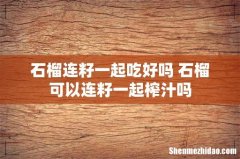 石榴连籽一起吃好吗 石榴可以连籽一起榨汁吗