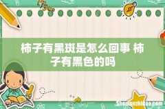柿子有黑斑是怎么回事 柿子有黑色的吗