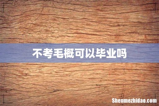 不考毛概可以毕业吗
