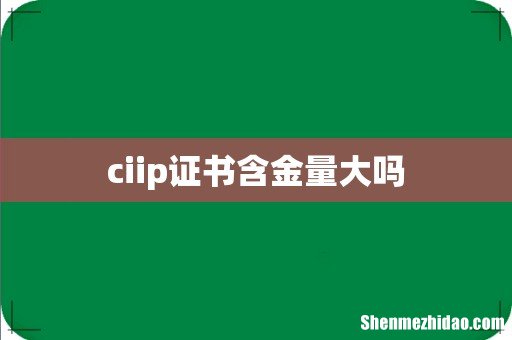 ciip证书含金量大吗